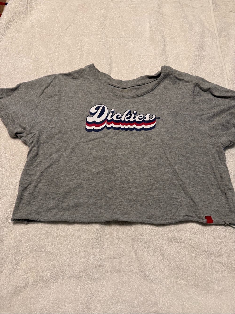 Dickies Gray Cropped Logo Tee with Red & Blue Accent